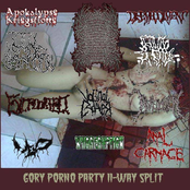 gory porno party 11-way split
