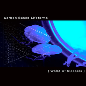 Erratic Patterns by Carbon Based Lifeforms