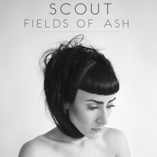 Fields of Ash   7"