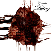 Where Have You Gone?