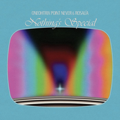 Nothing's Special - Single