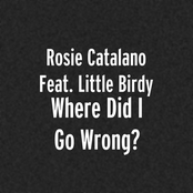 Where Did I Go Wrong?