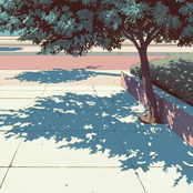 Sidewalk in Soft Light