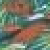 Talus Dice / Beyond The High Savannahs