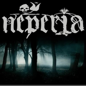 Neperia