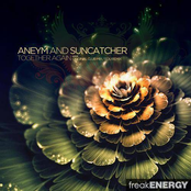 suncatcher feat. aneym