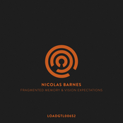 Fragmented Memory & Vision Expectations