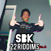 22 Riddims, Vol. 2