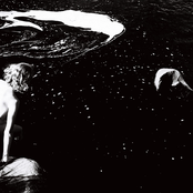 Alice Phoebe Lou: Shelter