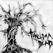 thelma and dead