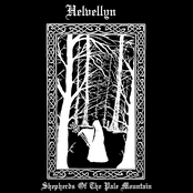 Woods Of The Forgotten