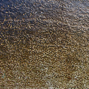 Lab Terminal Amnesia