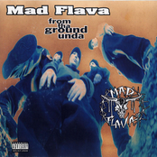 Feel Tha Flava by Mad Flava