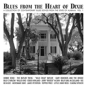 Microwave Dave: Blues From The Heart Of Dixie