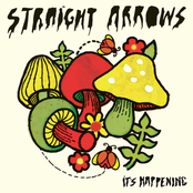 Bad Temper by Straight Arrows