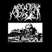 DEMO