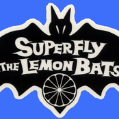 superfly & the lemon bats