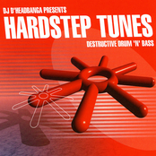 Hardstep Tunes (Destructive Drum 'N' Bass)