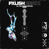 ALL THE THINGS SHE SAID (Remix)