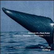 Whales (Fauxplay Remix)