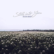 Still Into You