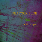 Peacock Blue