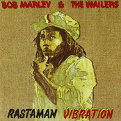 Positive Vibration by Bob Marley