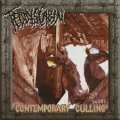 Contemporary Culling