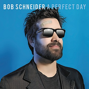 Bob Schnieder: A Perfect Day