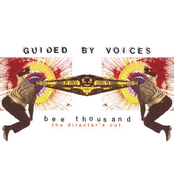 Curse Of The Black Ass Buffalo by Guided By Voices