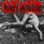 The Mindfuck Has Begun...