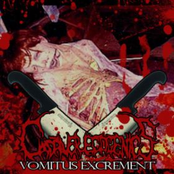 vomitus excrement