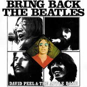 Bring Back the Beatles