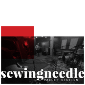 Sewingneedle: pallet session