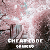 Cheat Code (Geico)