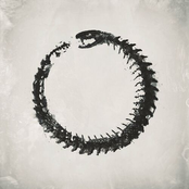 The Faraday - Timeloop EP