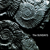 The Sundays - You're Not the Only One I Know