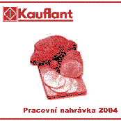 Pracovní nahrávka 2004