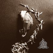 In Over My Head - EP