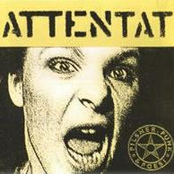 Pilsner, Punk och Poesi