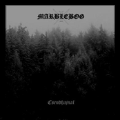 Csendhajnal (Silencedawn)