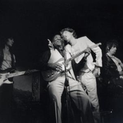 muddy waters & the rolling stones