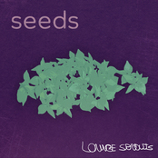 Seeds