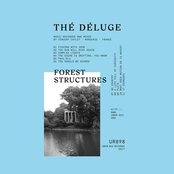 Forest Structures