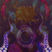 Realm Of The Octosquid
