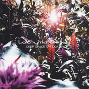 Deep Space Syndicate