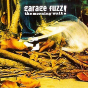 Too Scared To Try by Garage Fuzz