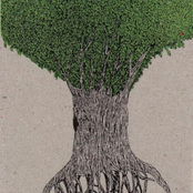 At The Foot Zodiac Mountain