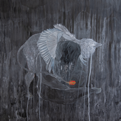 Every Rock, Every Half-Truth Under Reason