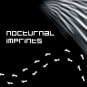 Nocturnal Imprints